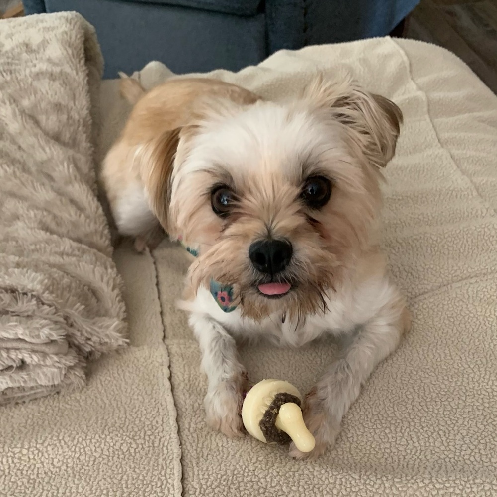 Meet your Posher, Kaye